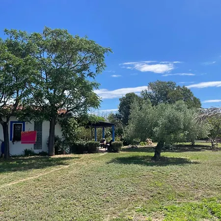Masia 'oasi Vallmoll' 度假居